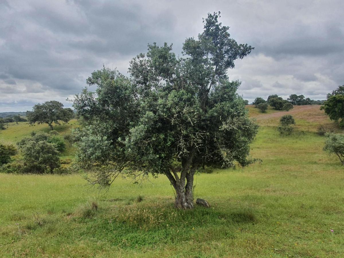 Monte das Casolas - Comporta Carvalhal Melides Grândola Exterior foto