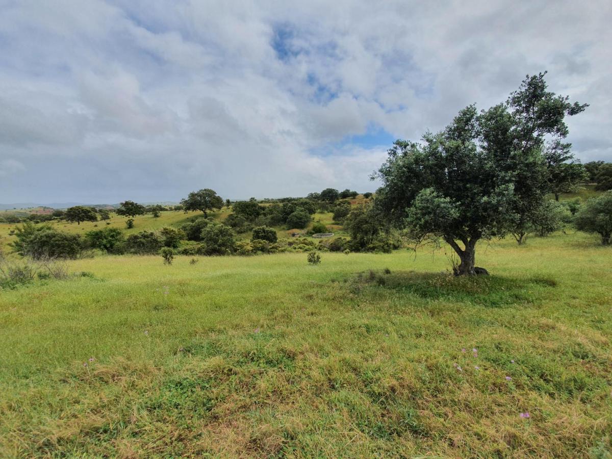 Monte das Casolas - Comporta Carvalhal Melides Grândola Exterior foto