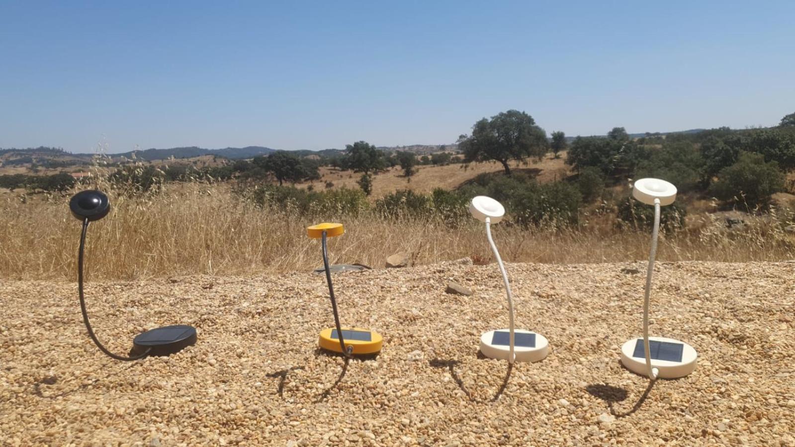 Monte das Casolas - Comporta Carvalhal Melides Grândola Exterior foto