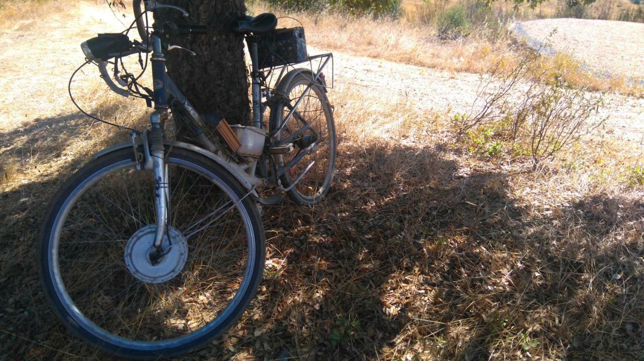 Monte das Casolas - Comporta Carvalhal Melides Grândola Exterior foto